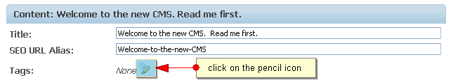Edit Tags